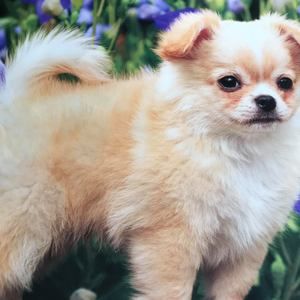 Meet your Posher, Gaby